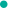 焦点访谈丨共建网络世界 共创数字未来